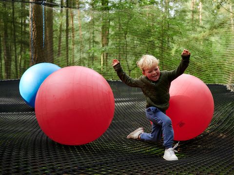 Landgoed de IJsvogel - Camping Barneveld - Image N°22