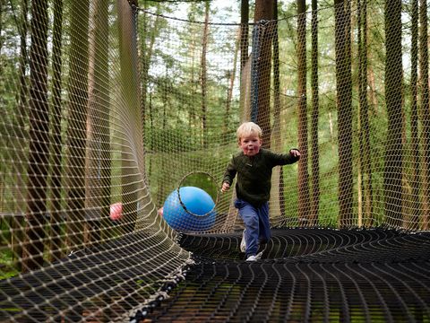 Landgoed de IJsvogel - Camping Barneveld - Image N°21