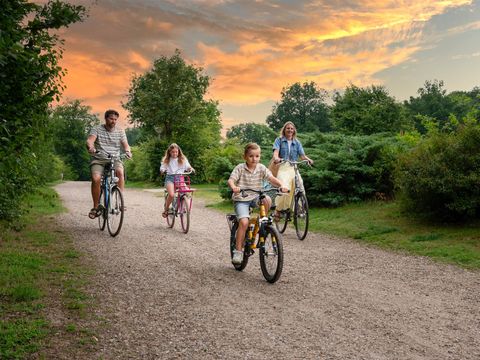 Veluwecamping 't Schinkel - Camping Apeldoorn