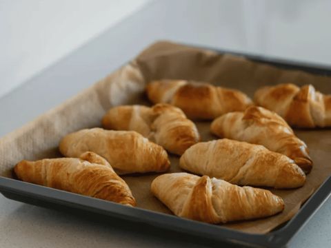 Camping de Vossenburcht - Camping Staphorst - Image N°5