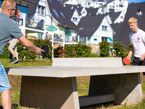 Dormio Resort Eifeler Tor - Camping Rhénanie du Nord-Westphalie - Image N°4