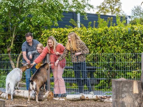 EuroParcs Spaarnwoude - Camping Haarlemmermeer - Image N°12