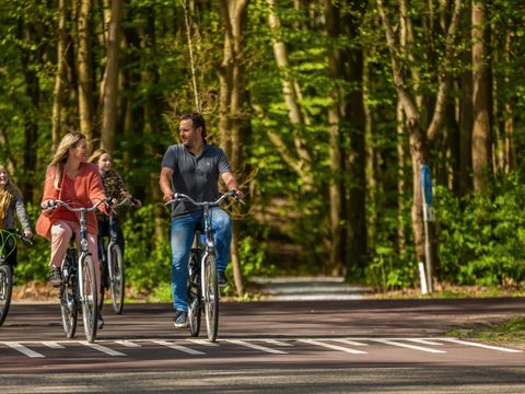 EuroParcs Spaarnwoude - Camping Haarlemmermeer - Image N°13