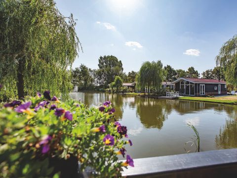 TopParken Residence Lichtenvoorde - Camping Ost-Gelre - Image N°52