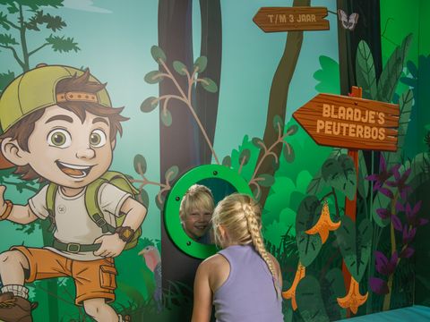Vakantiepark Westerbergen - Camping De Wolden - Image N°24