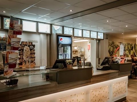 Vakantiepark Westerbergen - Camping De Wolden - Image N°8