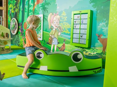 Vakantiepark Westerbergen - Camping De Wolden - Image N°22