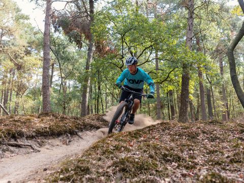 Vakantiepark Westerbergen - Camping De Wolden