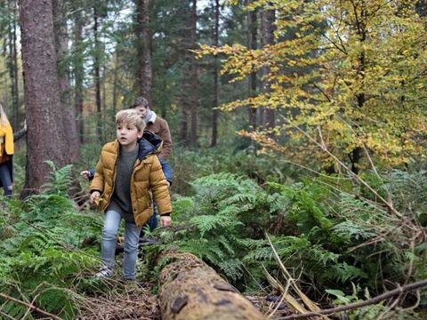 Vakantiepark Westerbergen - Camping De Wolden - Image N°72
