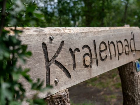 Vakantiepark Westerbergen - Camping De Wolden - Image N°53