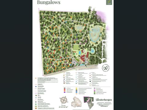 Vakantiepark Westerbergen - Camping De Wolden - Image N°55