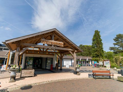 Vakantiepark Westerbergen - Camping De Wolden - Image N°44