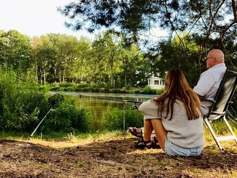 Vakantiepark Westerbergen - Camping De Wolden - Image N°81