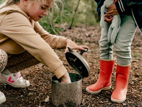 Vakantiepark Westerbergen - Camping De Wolden - Image N°34