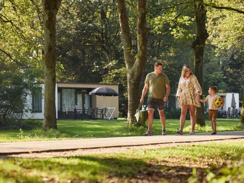 RCN Vakantiepark de Flaasbloem - Camping Goirle - Image N°31
