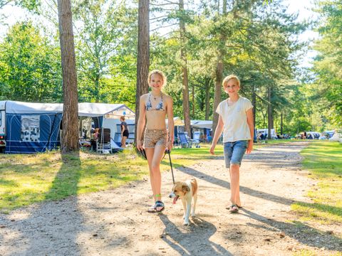 RCN Vakantiepark de Flaasbloem - Camping Goirle