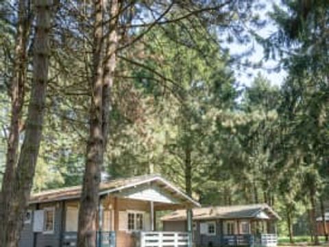 RCN Vakantiepark de Flaasbloem - Camping Goirle