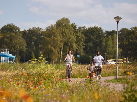 RCN Vakantiepark de Flaasbloem - Camping Goirle