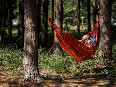 RCN Vakantiepark de Flaasbloem - Camping Goirle - Image N°26