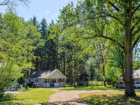 RCN Vakantiepark de Flaasbloem - Camping Goirle - Image N°49
