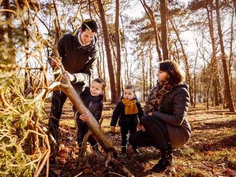 RCN Vakantiepark de Flaasbloem - Camping Goirle - Image N°2