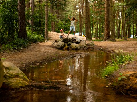 RCN Vakantiepark de Flaasbloem - Camping Goirle - Image N°3