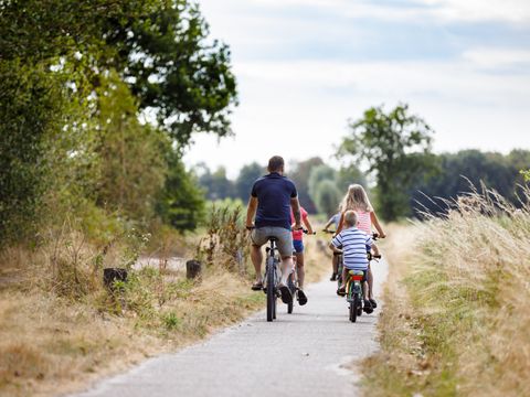 RCN Vakantiepark de Flaasbloem - Camping Goirle - Image N°39