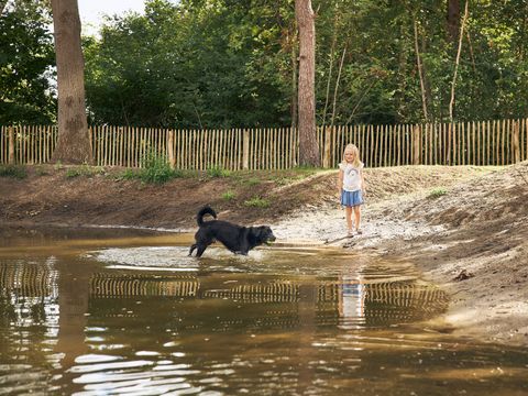 RCN Vakantiepark de Flaasbloem - Camping Goirle - Image N°36