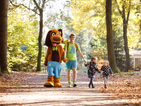 RCN Vakantiepark de Flaasbloem - Camping Goirle - Image N°7