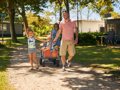 RCN Vakantiepark Toppershoedje - Camping Goeree-Overflakkee - Image N°31