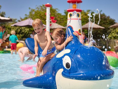 RCN Vakantiepark Toppershoedje - Camping Goeree-Overflakkee - Image N°3