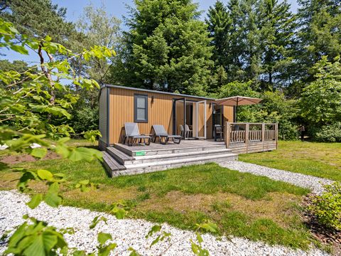 RCN Vakantiepark De Roggeberg - Camping Ooststellingwerf