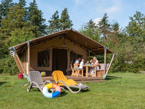 RCN Vakantiepark De Roggeberg - Camping Ooststellingwerf - Image N°3