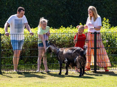 RCN Vakantiepark Zeewolde - Camping Zeewolde - Image N°11