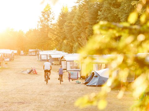 RCN Vakantiepark de Jagerstee - Camping Epe - Image N°36