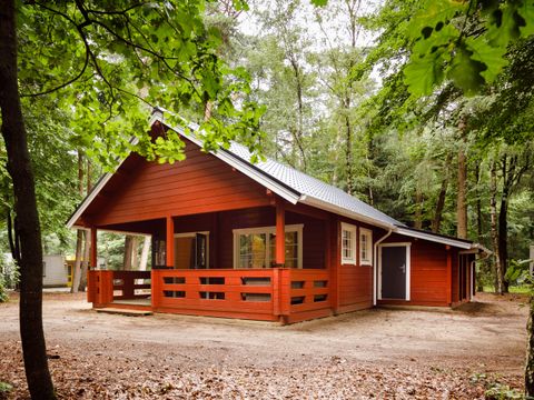 RCN Vakantiepark de Jagerstee - Camping Epe - Image N°28