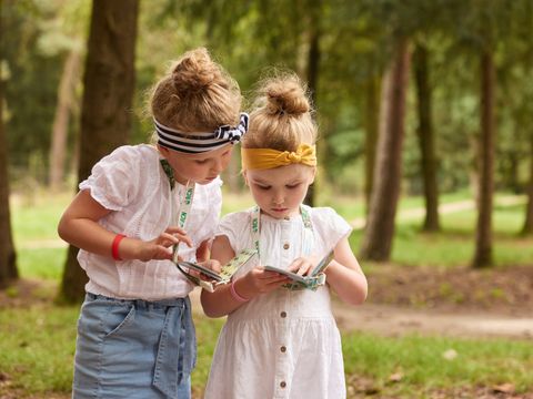 RCN Vakantiepark de Jagerstee - Camping Epe - Image N°14