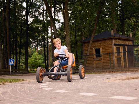 RCN Vakantiepark de Jagerstee - Camping Epe - Image N°12