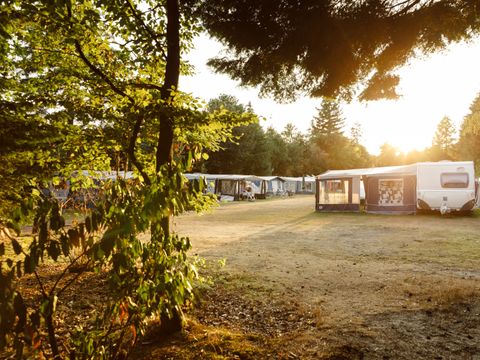 RCN Vakantiepark de Jagerstee - Camping Epe - Image N°32