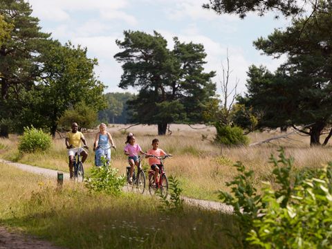 RCN Vakantiepark de Noordster - Camping Westerveld - Image N°31