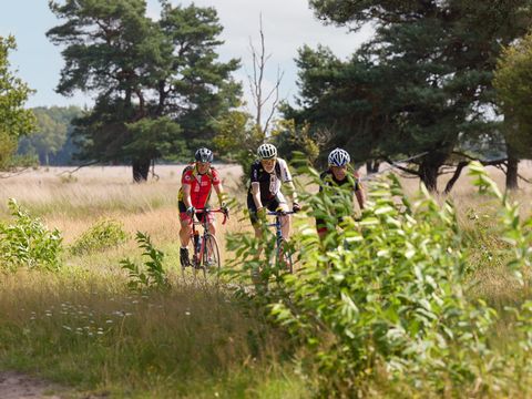 RCN Vakantiepark de Noordster - Camping Westerveld