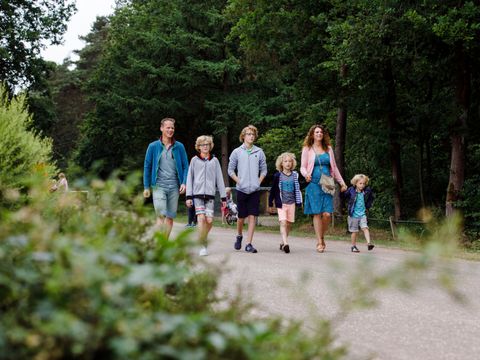 RCN Vakantiepark de Noordster - Camping Westerveld