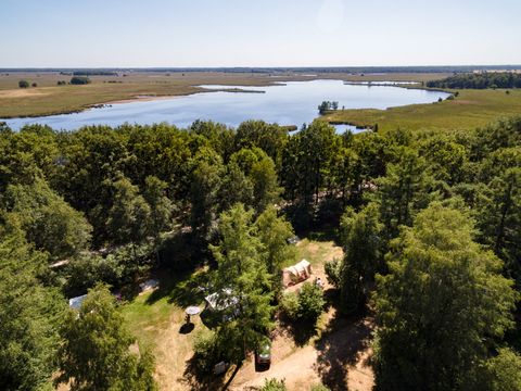 RCN Vakantiepark de Noordster - Camping Westerveld - Image N°37