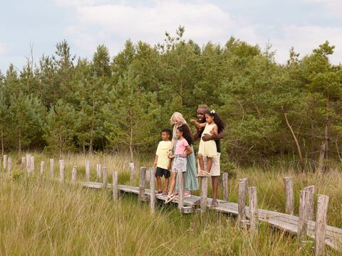 RCN Vakantiepark de Noordster - Camping Westerveld - Image N°35