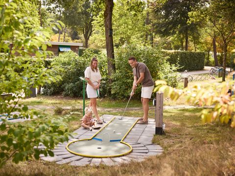 RCN Vakantiepark de Noordster - Camping Westerveld - Image N°12