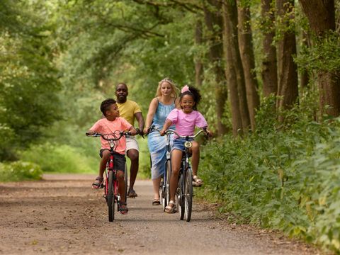 RCN Vakantiepark de Noordster - Camping Westerveld - Image N°32