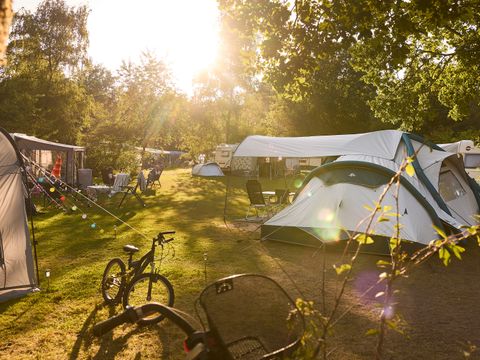 RCN Vakantiepark de Noordster - Camping Westerveld - Image N°27