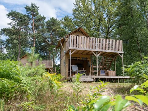 RCN Vakantiepark de Noordster - Camping Westerveld