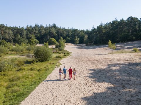 RCN Vakantiepark het Grote Bos - Camping Utrechtse Heuvelrug