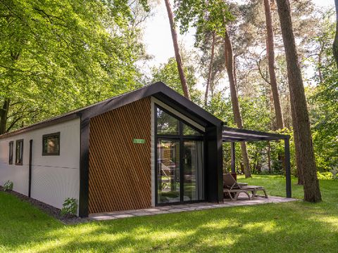 RCN Vakantiepark het Grote Bos - Camping Utrechtse Heuvelrug